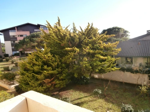 Apartment Seignosse, 1 bedroom, 4 persons - photo_14106544156