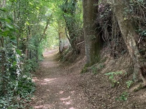 Gite Coulaines, 1 bedroom, 2 persons - photo_1011556399122