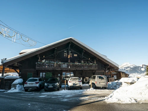 Apartment Châtel, 1 bedroom, 4 persons - photo_19981480581