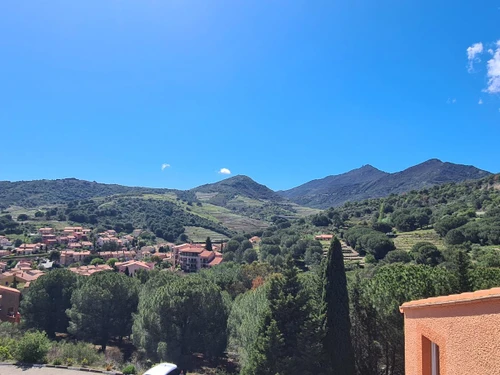 Appartement Collioure, 3 pièces, 3 personnes - photo_1011591842957