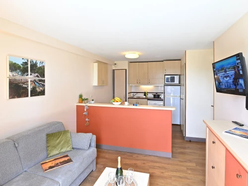 Ferienwohnung Saint-Raphaël, 2 Schlafzimmer, 6 Personen - photo_17306170071