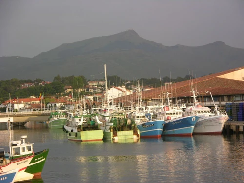 Apartment Saint-Jean-de-Luz, 1 bedroom, 2 persons - photo_1011593200673