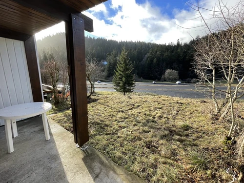 Studio Le Lioran, studio flat, 6 persons - photo_1011595469185