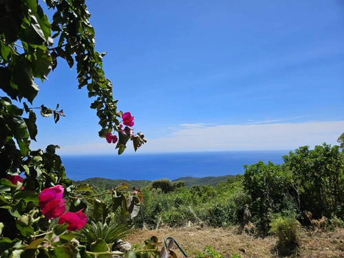 Villa Sari-Solenzara-Favone, 3 pièces, 4 personnes - photo_13123702947