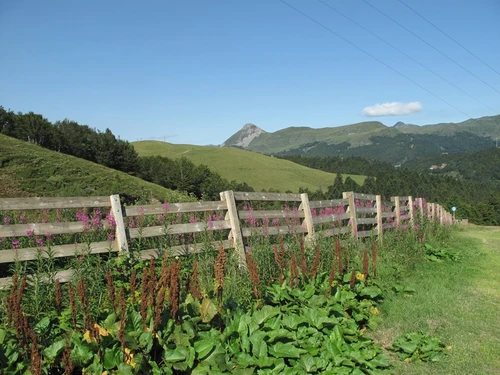 Apartment Le Lioran, 1 bedroom, 4 persons - photo_1011595661796