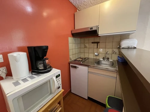 Studio Le Lioran, studio flat, 4 persons - photo_1011596013317