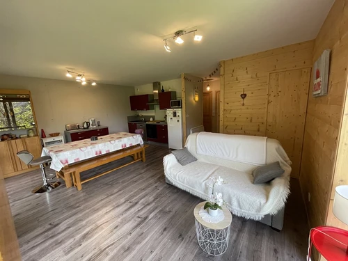 Apartment Le Lioran, 2 bedrooms, 8 persons - photo_1011596013657