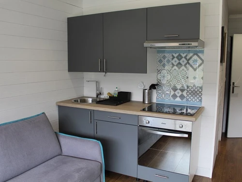 Studio Le Lioran, studio flat, 3 persons - photo_1011596521491