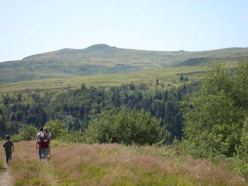 Studio Le Lioran, studio flat, 3 persons - photo_1011596521491