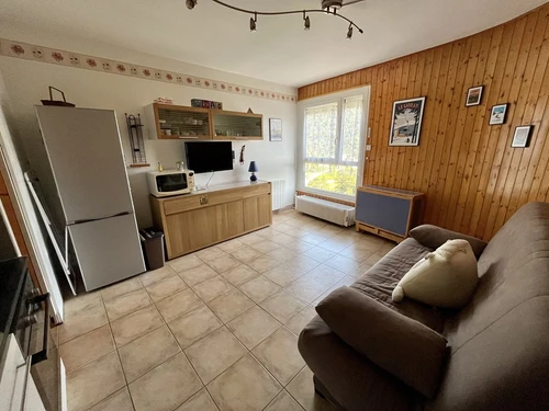 Studio Le Lioran, studio flat, 4 persons - photo_1011596522419