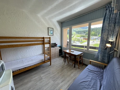 Studio Le Lioran, studio flat, 4 persons - photo_1011596522838