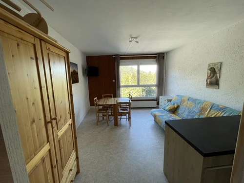 Studio Le Lioran, studio flat, 4 persons - photo_1011596522948