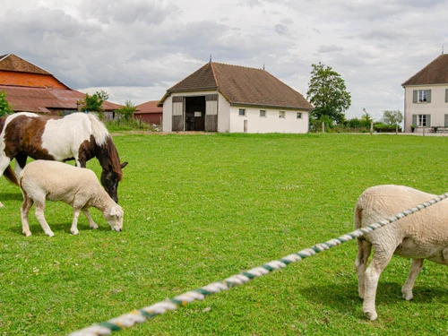 Gite Rouilly-Sacey, 2 bedrooms, 6 persons - photo_1011596960536