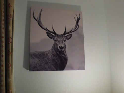 Apartment Samoëns, 1 bedroom, 5 persons - photo_18699527523