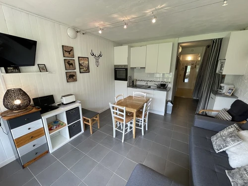 Studio Le Lioran, studio flat, 4 persons - photo_1011597604285