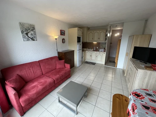 Studio Le Lioran, studio flat, 4 persons - photo_1011597604507