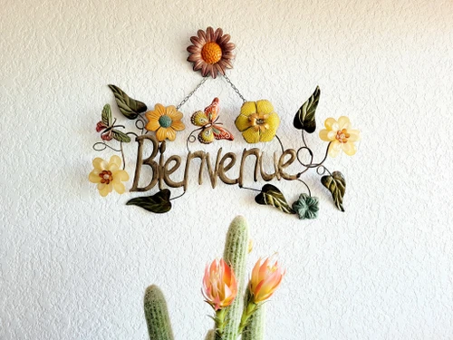 Apartment Canet-en-Roussillon, 1 bedroom, 4 persons - photo_1011598401464