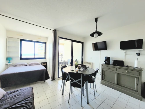 Studio Canet-en-Roussillon, studio flat, 4 persons - photo_1011598406859