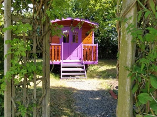 Gîte Chantenay-Villedieu, 1 pièce, 4 personnes - photo_14984571209