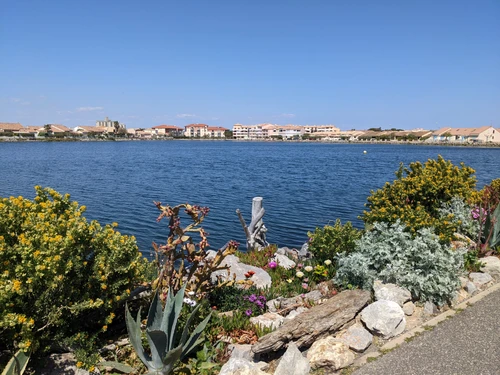 Apartment Port-la-Nouvelle, 2 bedrooms, 6 persons - photo_1011598385904