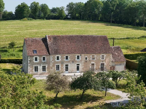 Gîte La Mesnière, 4 pièces, 11 personnes - photo_1011599992177