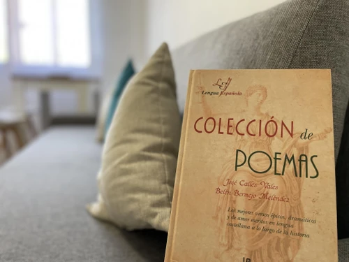 Ferienwohnung Córdoba, 3 Schlafzimmer, 5 Personen - photo_1011600382014