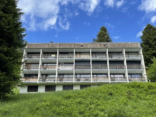 Apartment Le Lioran, 1 bedroom, 6 persons - photo_1011595291074