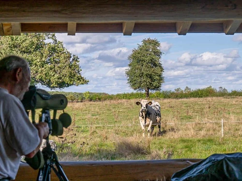 Studio Chennegy, 1 pièce, 2 personnes - photo_1011604938002