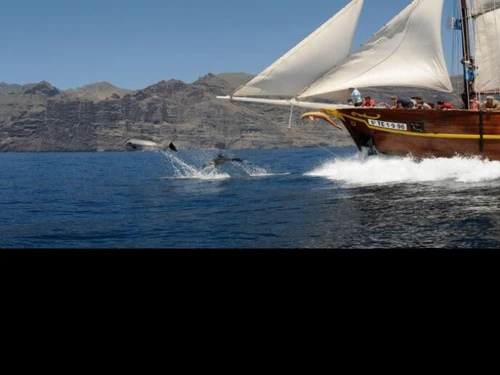 Apartment Playa de las Américas, 1 bedroom, 4 persons - photo_1011604959506