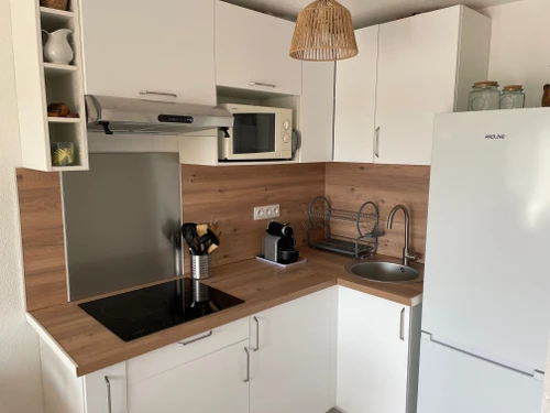 Appartement Argelès-sur-Mer, 2 pièces, 4 personnes - photo_1011605342386