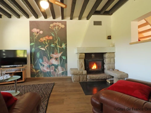 Gîte La Ferté-en-Ouche, 3 pièces, 4 personnes - photo_1011606085051