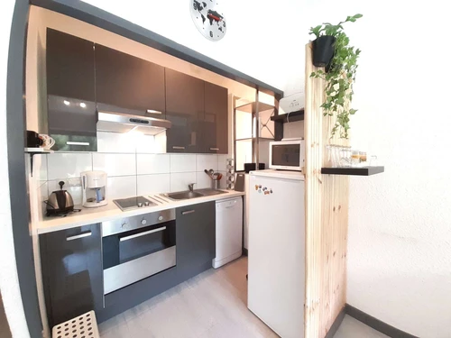 Studio Saint-Lary-Soulan, studio flat, 4 persons - photo_1011597605119