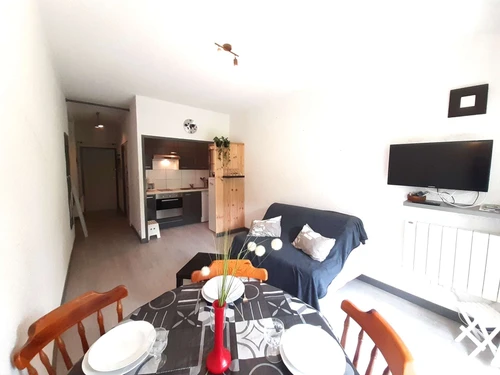 Studio Saint-Lary-Soulan, studio flat, 4 persons - photo_1011597605119