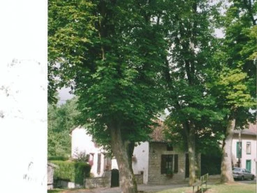 Gîte Vadelaincourt, 4 pièces, 4 personnes - photo_14994434526