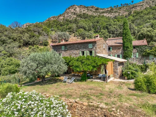 Gite La Garde-Freinet, 4 bedrooms, 8 persons - photo_1011614191875