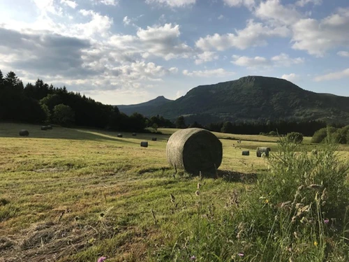 Studio Le Mont-Dore, studio flat, 4 persons - photo_15315009770