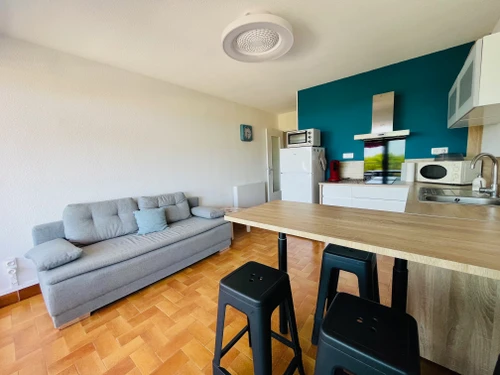 Appartement Saint-Cyprien, 2 pièces, 4 personnes - photo_1011617806879