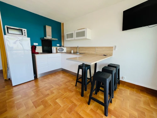 Appartement Saint-Cyprien, 2 pièces, 4 personnes - photo_1011617806879