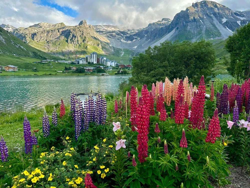 Apartamento Tignes, 1 dormitorio, 4 personas - photo_13508674738