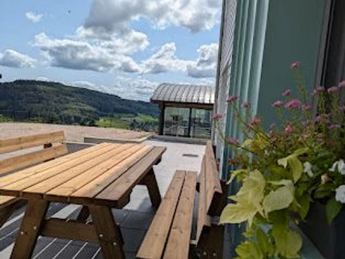 Gîte Le Val-d'Ajol, 3 pièces, 4 personnes - photo_1011622857379