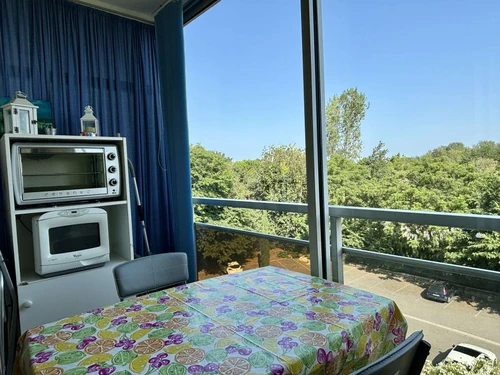 Appartement Argelès-sur-Mer, 2 pièces, 4 personnes - photo_1011624693784