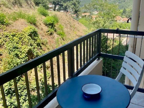 Studio Amélie-les-Bains-Palalda, 1 pièce, 2 personnes - photo_1011625959680