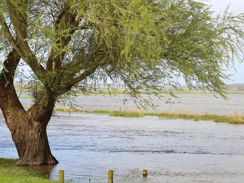 Gîte Picauville, 2 pièces, 2 personnes - photo_1011586880100