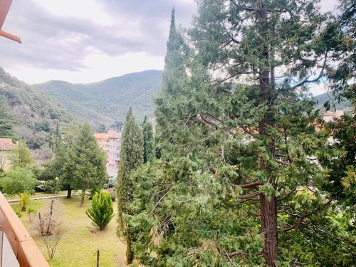 Studio Amélie-les-Bains-Palalda, studio flat, 2 persons - photo_18825843386