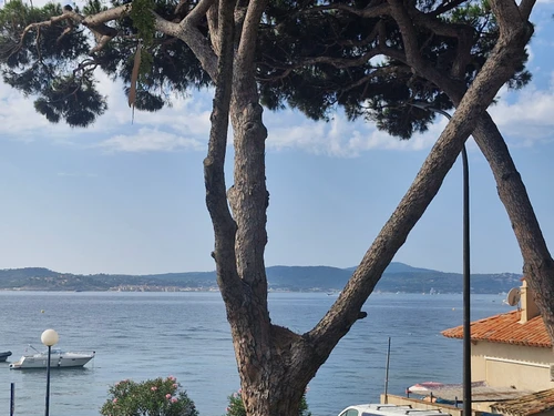 Apartment Sainte-Maxime, 1 bedroom, 4 persons - photo_1011406098377