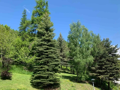 Studio Pra-Loup, Studio, 4 Personen - photo_19754154907