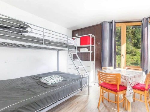 Studio Avoriaz, studio flat, 3 persons - photo_1011257234122