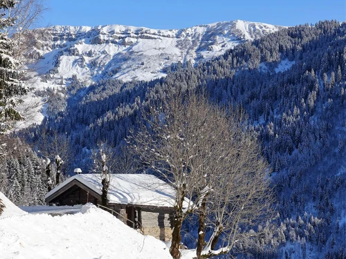 Chalet Arêches-Beaufort, 2 Schlafzimmer, 6 Personen - photo_14312727060