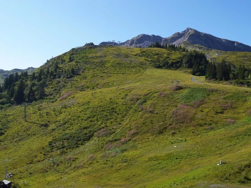 Apartment Avoriaz, 1 bedroom, 4 persons - photo_19788808810