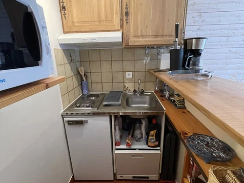 Studio Le Lioran, studio flat, 4 persons - photo_1011648230772